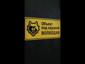 Не трогай СОБАКУ!