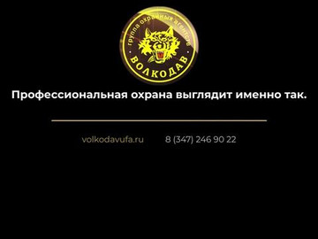 Профессиональная охрана